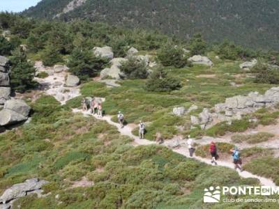 Senda Herreros - Puerto de Navacerrada - Valle de Fuenfría - Ducha de los Alemanes -Embalse Berceas